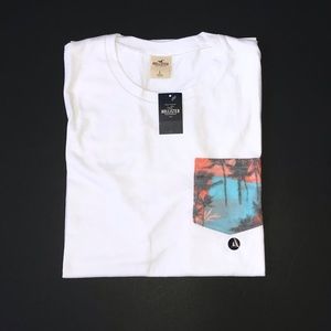 Hollister t-shirt (NWT)